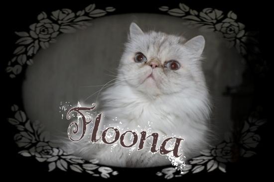 Floona 5 ans et demi 1
