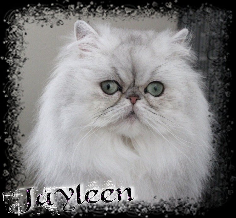 Jayleen 3 ans