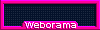 votesmo_FF00991.gif
